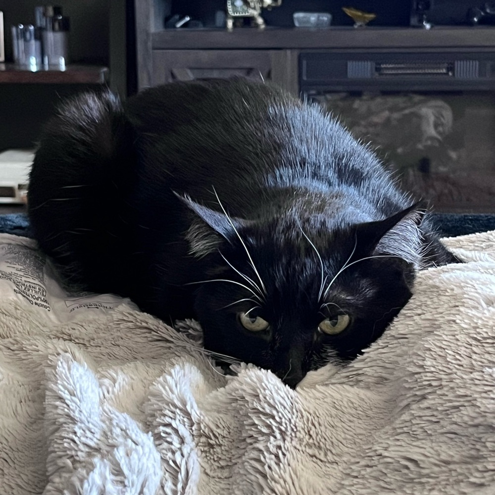 *No messaging outside of Poshmark App*